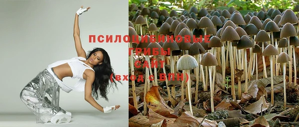 тгк Наволоки
