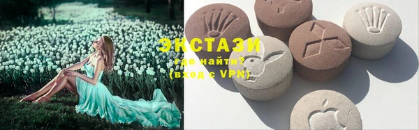 гидра Аша
