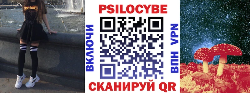 закладки  Нюрба  Псилоцибиновые грибы прущие грибы 